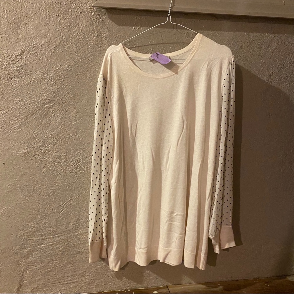 Loft sweater size 22